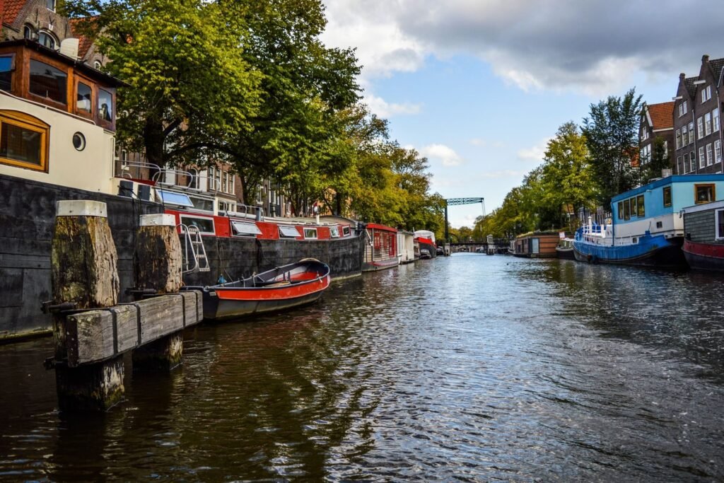 Vis uit het Markermeer, wat er bij Hoorn uit het water komt